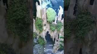 Download lagu peroses penempelan java moss mp3