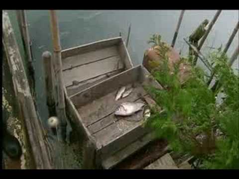 Satoyama (narrated by David Attenborough) 3/6