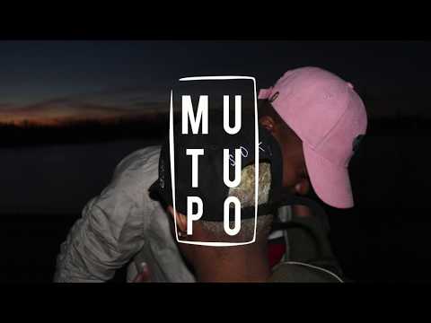 Shuffle Muzik, Percy B & Senzo - Chomi