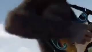 Download lagu Mantan Jancuk | SKA 86 (Story WA dan IG | PMV) mp3 Download lagu Mantan Jancuk | SKA 86 (Story WA dan IG | PMV) mp3