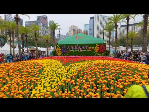香港花卉展覽2026 花展第一日 POV Hong Kong Flower Show 2026 4K