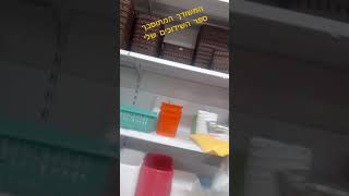 המשודך המתוסבך - איביי (המשודך המתוסבך) - התמונה מוצגת ישירות מתוך אתר האינטרנט יוטיוב. זכויות היוצרים בתמונה שייכות ליוצרה. קישור קרדיט למקור התוכן נמצא בתוך דף הסרטון