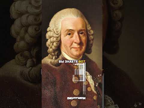 Мухи сьедают тело как Львы! | Сурдин #наука #здоровье #интервью