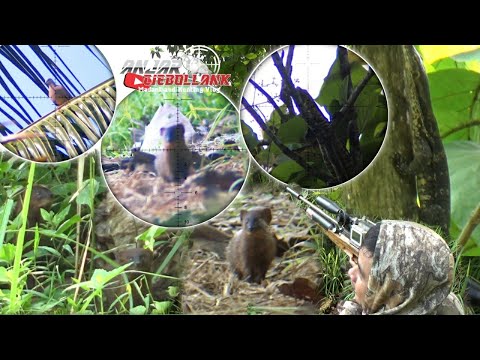 Semua NgumpuL Disini.?