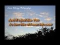 Jadon Lavik- Just Like You (Lyrics)