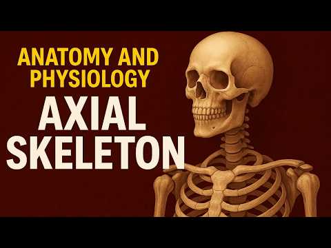 Anatomy and Physiology of Axial Skeleton