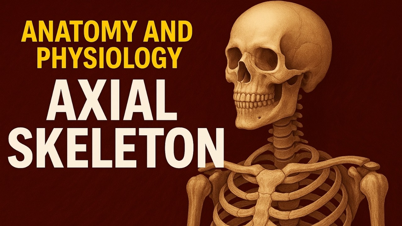 Anatomy and Physiology of Axial Skeleton