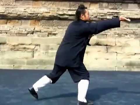 Wudang Kungfu Demonstration by Master Zhang Jiali