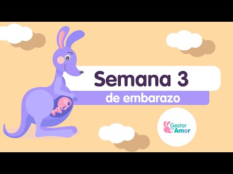 Week 3 of pregnancy: The baby is starting to grow!