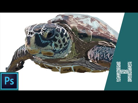 Adobe Photoshop основы знакомство с программой