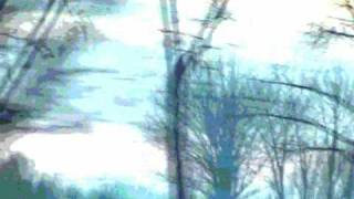 Stoneflowers Of Eden - Peacemaker