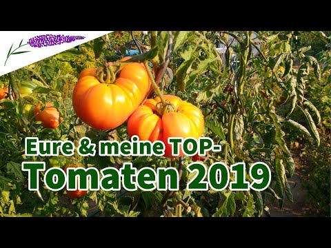 , title : 'Eure & meine Lieblings-Tomaten 2019'