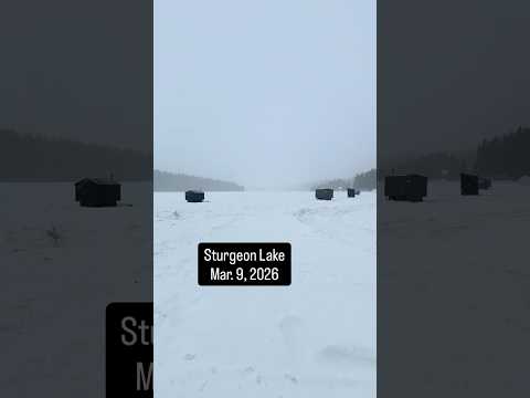 Sturgeon Lake Sask - Mar. 9, 2026