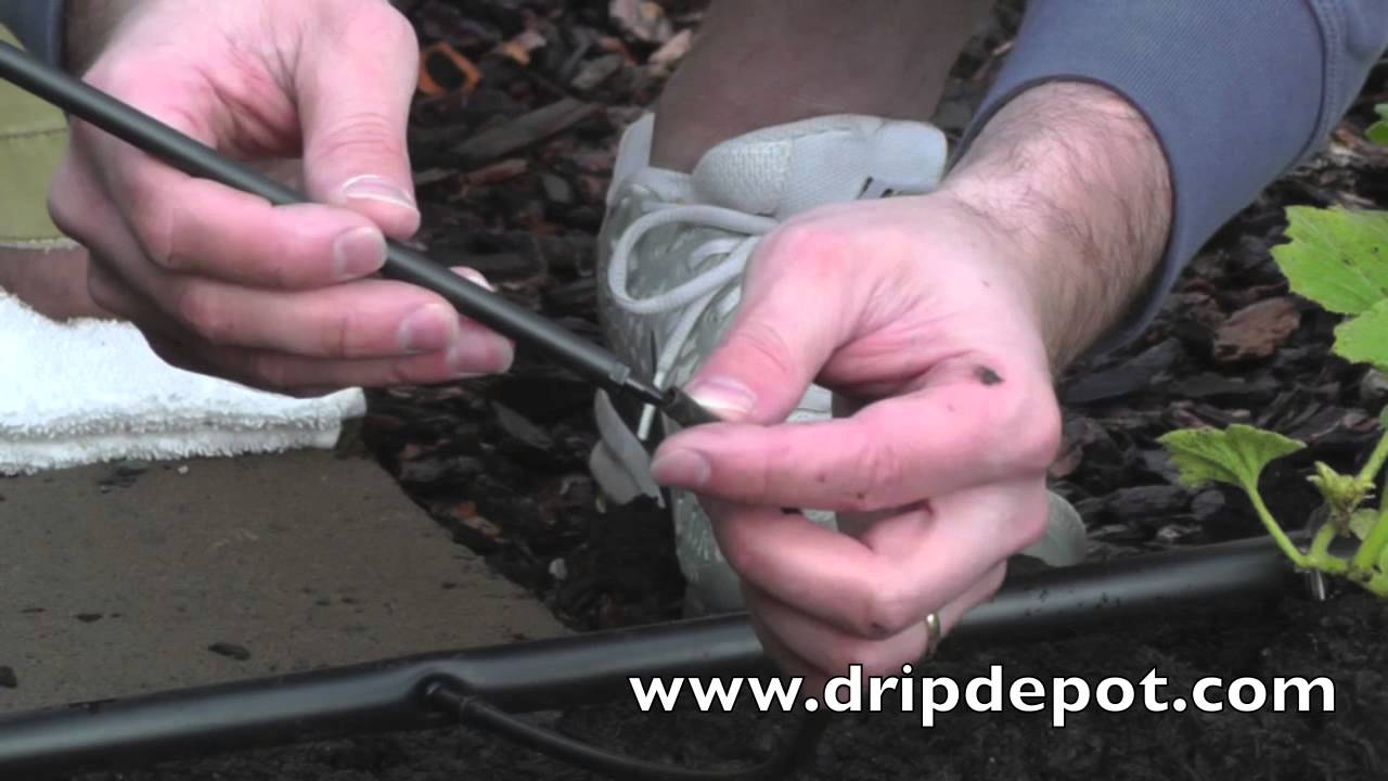 How to Install a Rigid Riser and Spray Jets into a Landscape