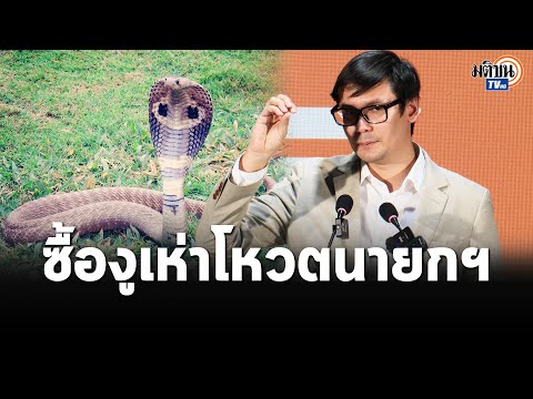 คลิกเพื่อดูคลิปวิดีโอ