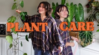 Let’s do plant chores vlog