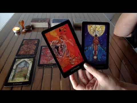 AQUARIUS Divine Feminine Nov-Dec *BIRTHING A NEW WORLD*