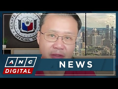 Gatchalian: COA commissioner should explain wife bagging P200-M DPWH flood control projects | ANC