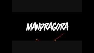 Mandragora - In Other Words