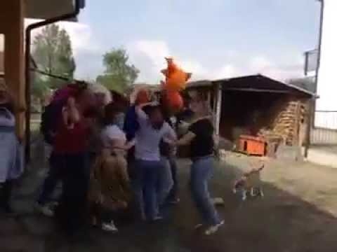 harlem shake =) foglizzo
