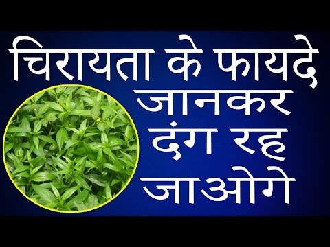 Chirata ke fayde/ benefits & uses of chirayata