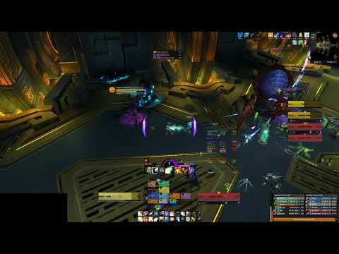 Nethrim - Mal'ganis: Heroic Zek'voz (Disc Priest PoV)