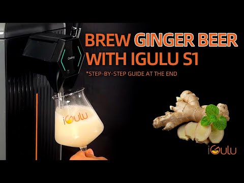Brew Your Own: The Ultimate Ginger Beer Recipe with the iGulu S1