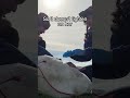 Prolapse Let S Fix It Farmvlog