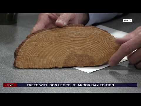Trees with Don Leopold: Arbor Day Edition