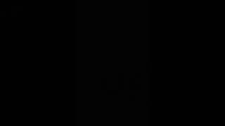 Tuesday Mornin' Everlast