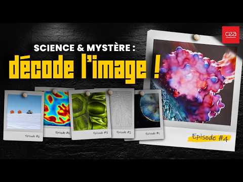 La bactérie qui fabrique l’énergie de demain !🦠 | Science & mystère: décode l'image ! S2 - Ep.4