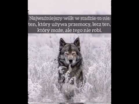 TEN BOOMBAP x Grzechu ZWR , Gruby Solo