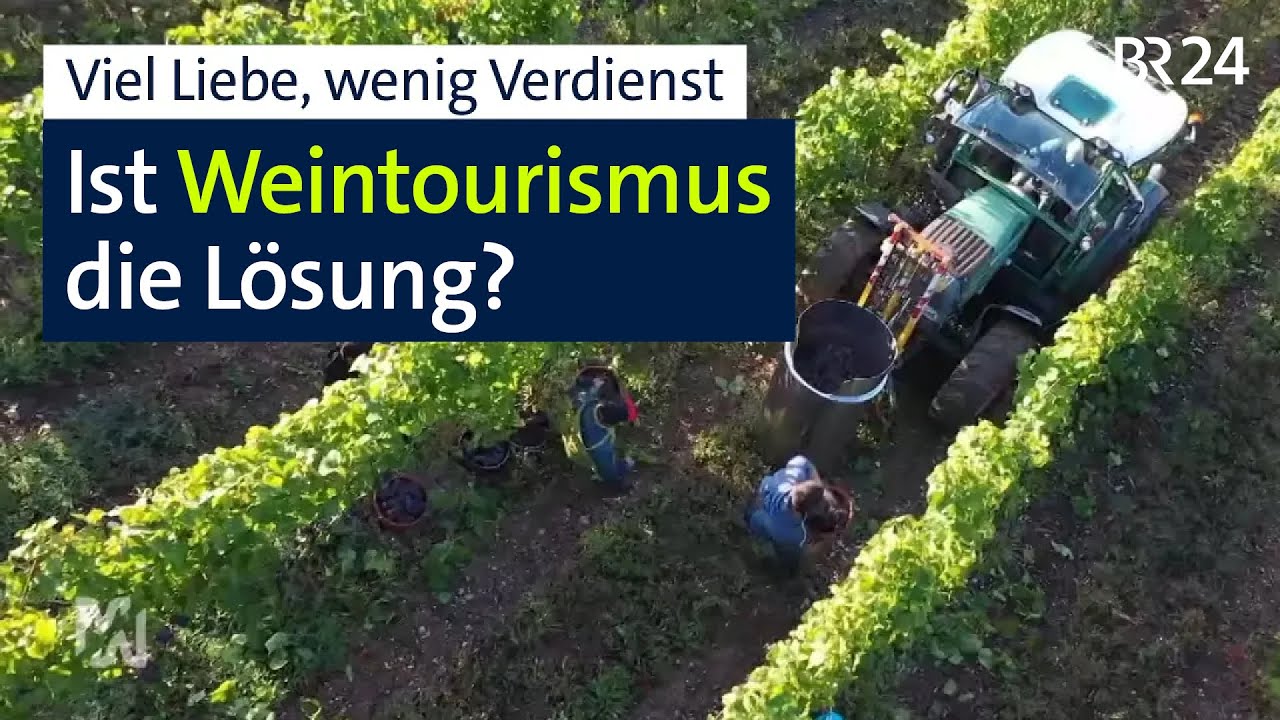 Rezepte gegen die Krise: fränkische Winzer unter Druck | mehr/wert | BR24