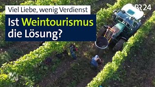 Rezepte gegen die Krise: fränkische Winzer unter Druck | mehr/wert | BR24