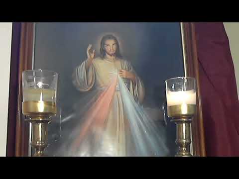 Chaplet of Divine Mercy & Joyful Mysteries - February 25, 2023