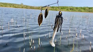 Fishing with BIG Spinners for Active Fish!