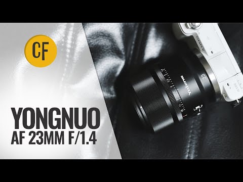 Video thumbnail for Video Review 1