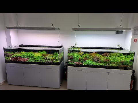 Footage from MasterLine showroom