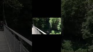 008 コフスハーバー、ドリンゴ国立公園、ベリンゲン Coffs Harbour, Dorringo national park, Bellingen #shorts #australia