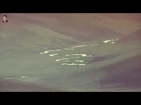 𝚉𝚞𝚓𝚌̌𝚎 - 𝙺𝚊𝚌̌𝚎 𝚐𝚎 𝚣𝚊𝚖𝚒𝚗𝚎𝚖 𝚛𝚎𝚜𝚝𝚎𝚕𝚒𝚌̌𝚔𝚎 𝚝𝚞𝚗𝚎𝚕𝚒