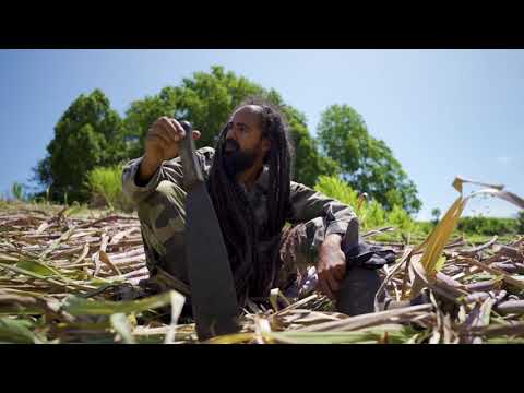 Jahiro - "Kreol" (Clip officiel 2024)