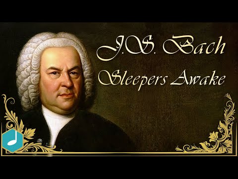 MUSIC BOX: 24 of J.S. Bach's Eternal Classics