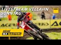 ADAC MX Masters Vellahn 2024 | Re-Live | Sonntag