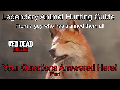 Legendary Animal Hunting Guide - Your Questions Answered - Red Dead Online