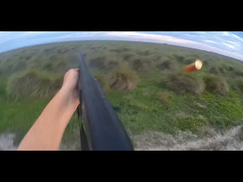 Cazeria en Santiago del Estero 2024 -  Un poco de todo