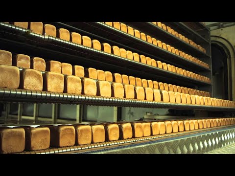 , title : 'كيف يصنع الخبز في المصانع الحديثة خط انتاج مذهل !!'
