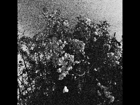 Celestial Sword/Trhä - Edënohhdlha hálgra tu majtranlh'ha /Ga nëcëcta mon idlhi (2021) - *Split*