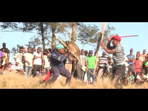 SO YOU THINK YOU CAN FIGHT - RUGBY PLAYERS ALLOWED