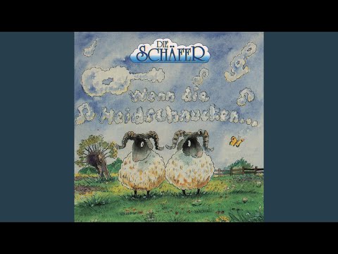 Die Sterne in der Heimat