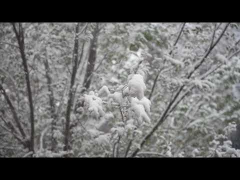 October Snow - Cedar Rapids, Iowa